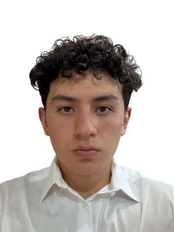 Raúl Treviño Licona
